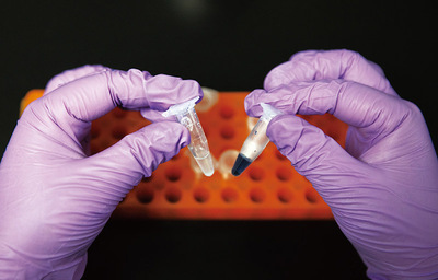 以创新为核，以实干为基 自然科学研发谱写中国式现代化新篇章